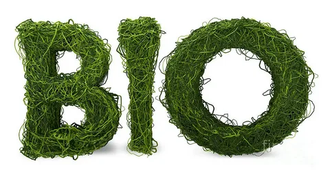 Make a Statement with Your Profile: Crafting a Stylish Bio That Stands Out